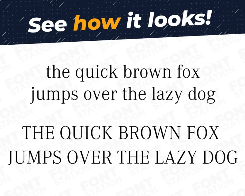 A complete showcase image of the Mercedes Car font, featuring the text 'The quick brown fox jumps over the lazy dog' to display every letter of the alphabet.
