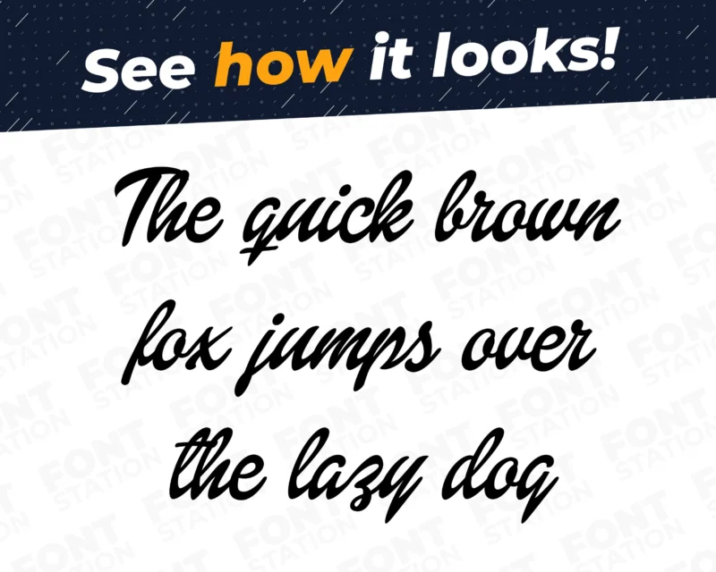 A complete showcase image of the New Barbie font, featuring the text 'The quick brown fox jumps over the lazy dog' to display every letter of the alphabet.